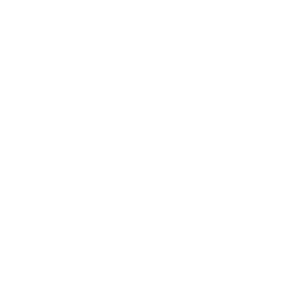 Brightness